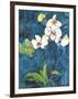 Phalaenopsis II-Connie Tunick-Framed Giclee Print