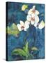 Phalaenopsis II-Connie Tunick-Stretched Canvas