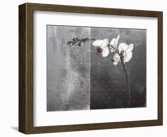 Phalaenopsis Left-Kory Fluckiger-Framed Giclee Print