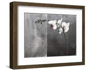 Phalaenopsis Left-Kory Fluckiger-Framed Giclee Print