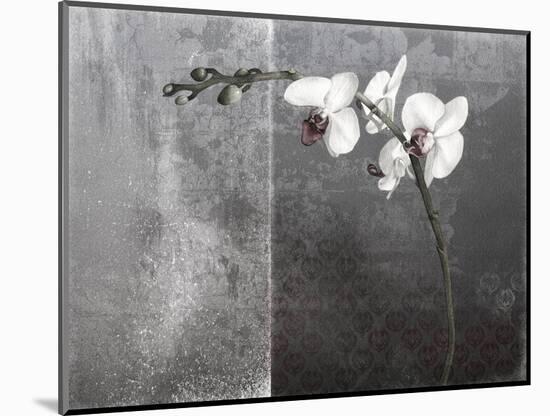 Phalaenopsis Left-Kory Fluckiger-Mounted Giclee Print