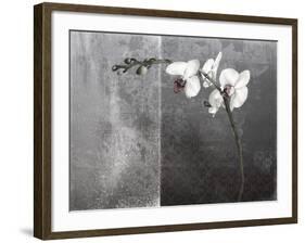 Phalaenopsis Left-Kory Fluckiger-Framed Giclee Print