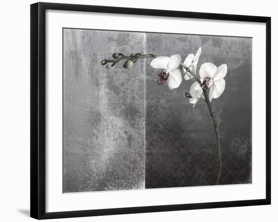 Phalaenopsis Left-Kory Fluckiger-Framed Giclee Print