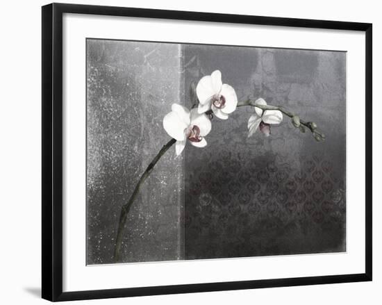 Phalaenopsis Right-Kory Fluckiger-Framed Giclee Print