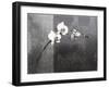 Phalaenopsis Right-Kory Fluckiger-Framed Giclee Print