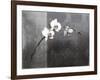 Phalaenopsis Right-Kory Fluckiger-Framed Giclee Print