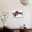 Phalaenopsis Taida Peael2-Fabio Petroni-Stretched Canvas displayed on a wall