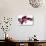 Phalaenopsis Taida Peael2-Fabio Petroni-Photographic Print displayed on a wall