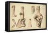 Phallic Emblems from Tel Jagur, Mr Shapira's Collection, 1872-Claude Conder-Framed Stretched Canvas