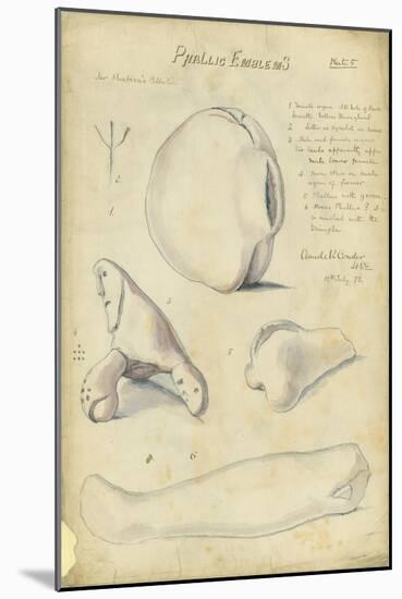 Phallic Emblems, Mr Shapira's Collection, Plate 5, 1872-Claude Conder-Mounted Giclee Print