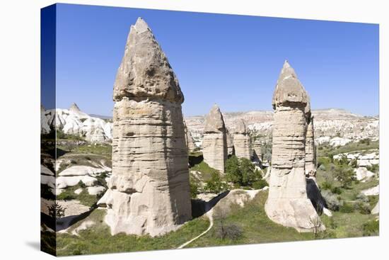 Phallic Rock Formations, Love Valley, Cappadocia, Turkey-Matt Freedman-Stretched Canvas