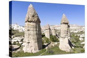 Phallic Rock Formations, Love Valley, Cappadocia, Turkey-Matt Freedman-Stretched Canvas