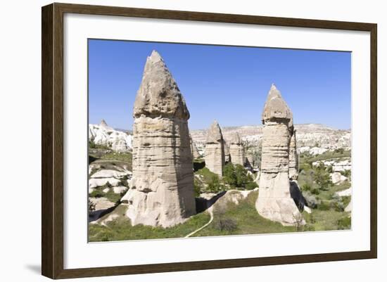 Phallic Rock Formations, Love Valley, Cappadocia, Turkey-Matt Freedman-Framed Photographic Print