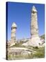 Phallic Rock Formations, Love Valley, Cappadocia, Turkey-Matt Freedman-Stretched Canvas