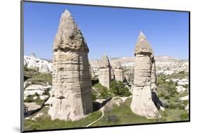Phallic Rock Formations, Love Valley, Cappadocia, Turkey-Matt Freedman-Mounted Photographic Print