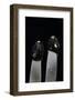 Phallus Impudicus (Common Stinkhorn, Dickes-Nipes)-Paul Starosta-Framed Photographic Print