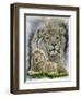 Phantasy-Barbara Keith-Framed Premium Giclee Print