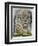 Phantasy-Barbara Keith-Framed Premium Giclee Print