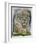 Phantasy-Barbara Keith-Framed Premium Giclee Print