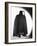 Phantom of the Opera-null-Framed Photo