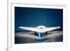 Phantom Ray unmanned aircraft-null-Framed Art Print