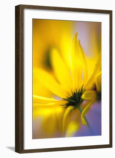 Phaos-WTN Photography-Framed Giclee Print