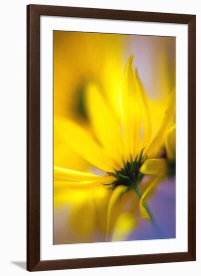 Phaos-WTN Photography-Framed Giclee Print