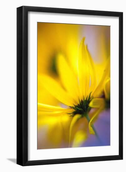 Phaos-WTN Photography-Framed Giclee Print