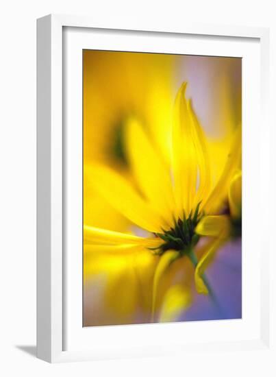 Phaos-WTN Photography-Framed Giclee Print