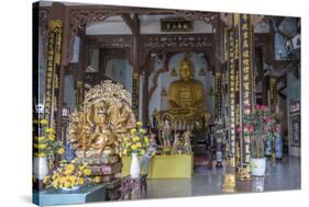 Phap Lam Pagoda, Danang, Vietnam, Indochina, Southeast Asia, Asia-Rolf Richardson-Stretched Canvas