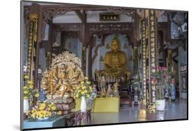 Phap Lam Pagoda, Danang, Vietnam, Indochina, Southeast Asia, Asia-Rolf Richardson-Mounted Photographic Print