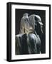 Pharaoh Khafre on the Throne with the Wings of the Falcon God Horus Wrapped around His Head-null-Framed Giclee Print