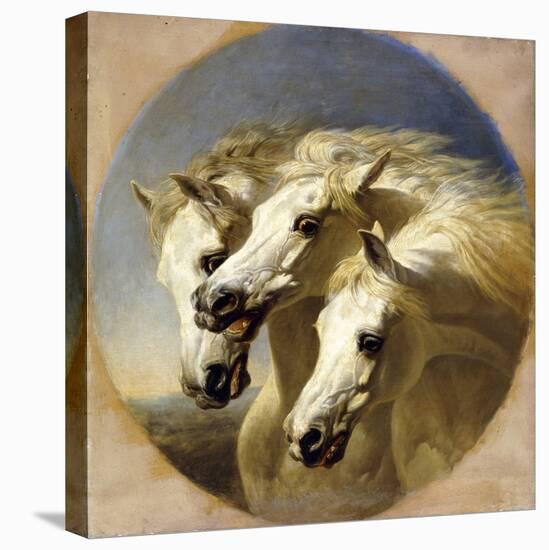 Pharaoh's Horses, 1848-John Frederick Herring I-Stretched Canvas