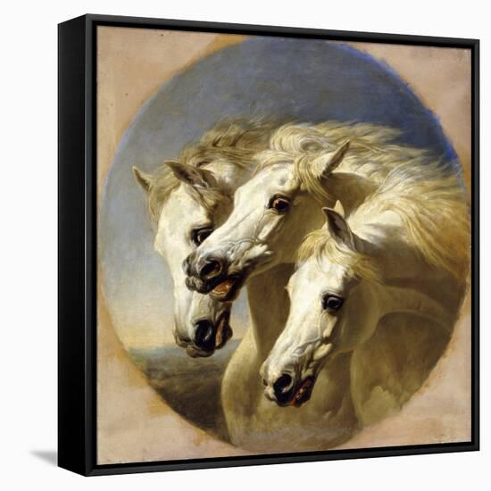 Pharaoh's Horses, 1848-John Frederick Herring I-Framed Stretched Canvas