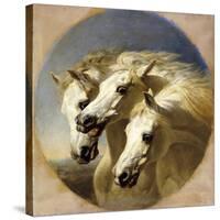 Pharaoh's Horses, 1848-John Frederick Herring I-Stretched Canvas