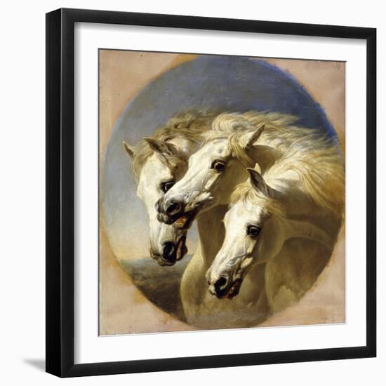 Pharaoh's Horses, 1848-John Frederick Herring I-Framed Giclee Print