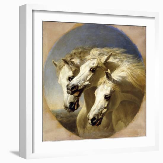 Pharaoh's Horses, 1848-John Frederick Herring I-Framed Giclee Print