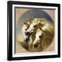 Pharaoh's Horses, 1848-John Frederick Herring I-Framed Giclee Print