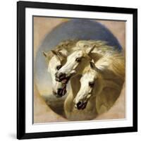 Pharaoh's Horses, 1848-John Frederick Herring I-Framed Giclee Print