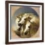 Pharaoh's Horses, 1848-John Frederick Herring I-Framed Giclee Print