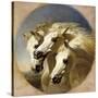 Pharaoh's Horses-John Frederick Herring I-Stretched Canvas