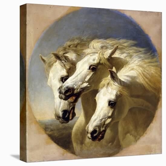 Pharaoh's Horses-John Frederick Herring I-Stretched Canvas