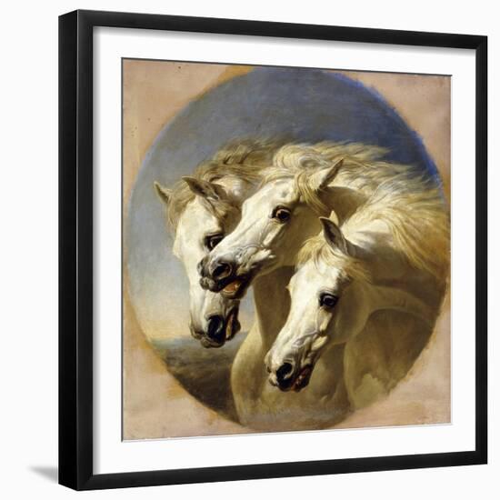 Pharaoh's Horses-John Frederick Herring I-Framed Giclee Print