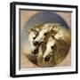 Pharaoh's Horses-John Frederick Herring I-Framed Giclee Print