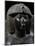 Pharaoh Thutmose Iv, Black Granite Statue, from Karnak, Detail-null-Mounted Giclee Print