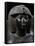 Pharaoh Thutmose Iv, Black Granite Statue, from Karnak, Detail-null-Framed Stretched Canvas