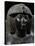 Pharaoh Thutmose Iv, Black Granite Statue, from Karnak, Detail-null-Stretched Canvas