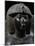 Pharaoh Thutmose Iv, Black Granite Statue, from Karnak, Detail-null-Mounted Giclee Print