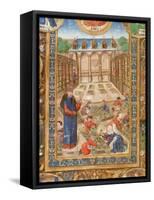 Pharmaceutical Garden, 15th Century-null-Framed Stretched Canvas