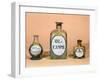Pharmaceutical Jars For Camphor and Spirit of Wine-null-Framed Giclee Print